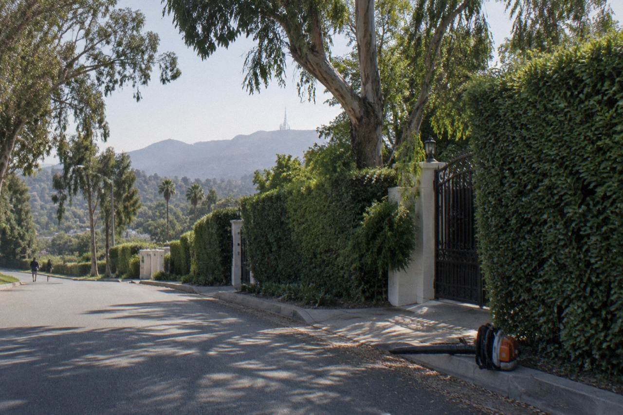 A quiet residential street in the Beverly Hills hills with tall hedges and gated driveways