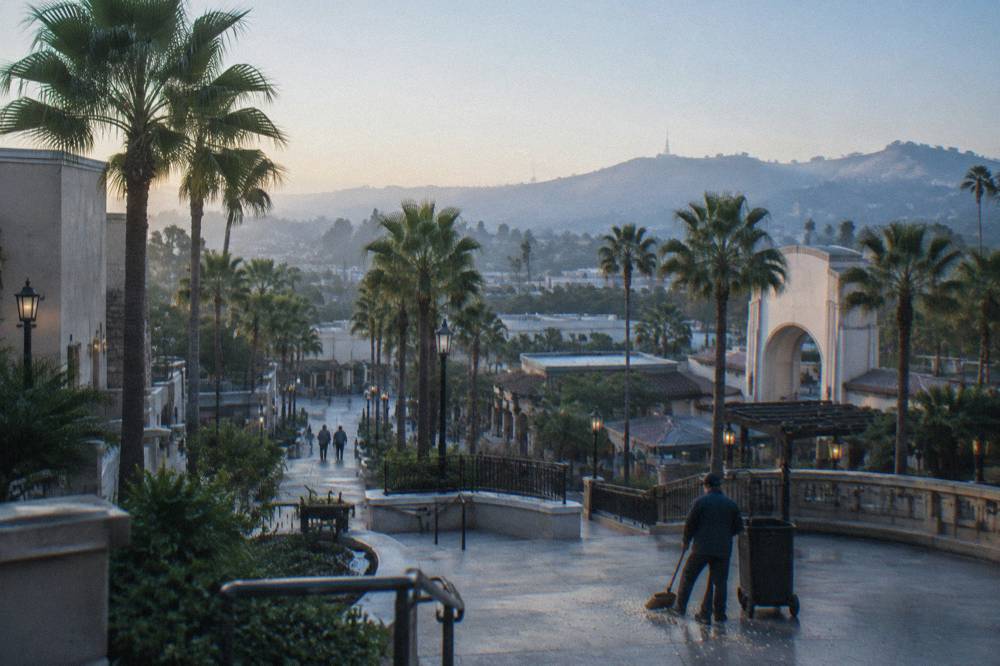 Theme park admission gates under palm trees in morning light