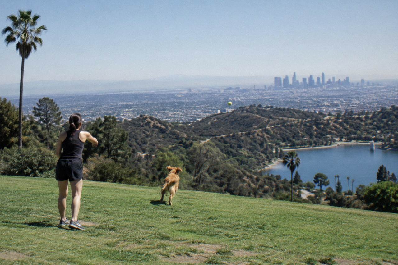 The Hollywood Hills above Los Angeles under a clear sky, with the city grid stretching toward the horizon