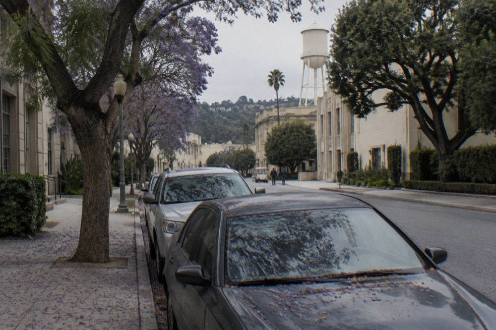 Row of parked cars along a tree-lined residential street in Hollywood near the Paramount lot