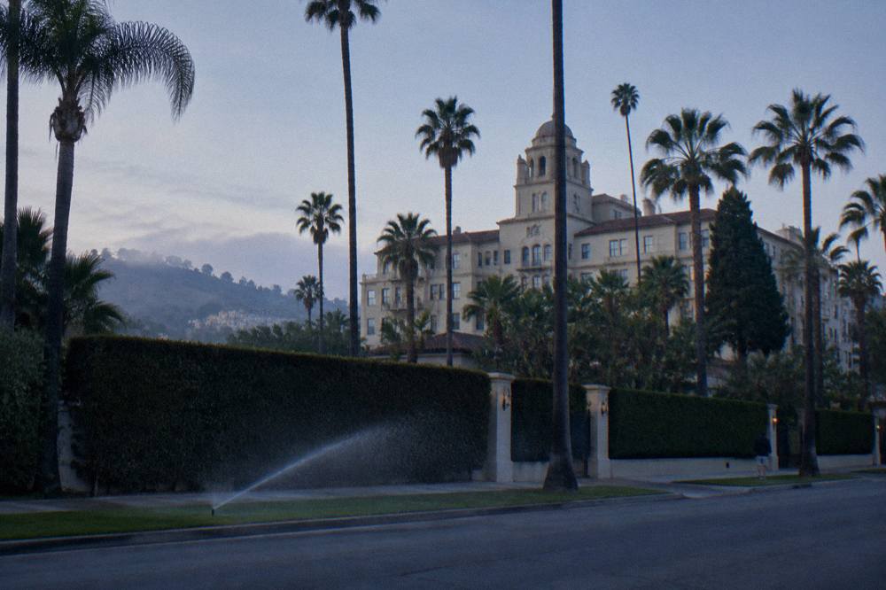 A palm-lined residential street in Beverly Hills with large hedges and estate walls