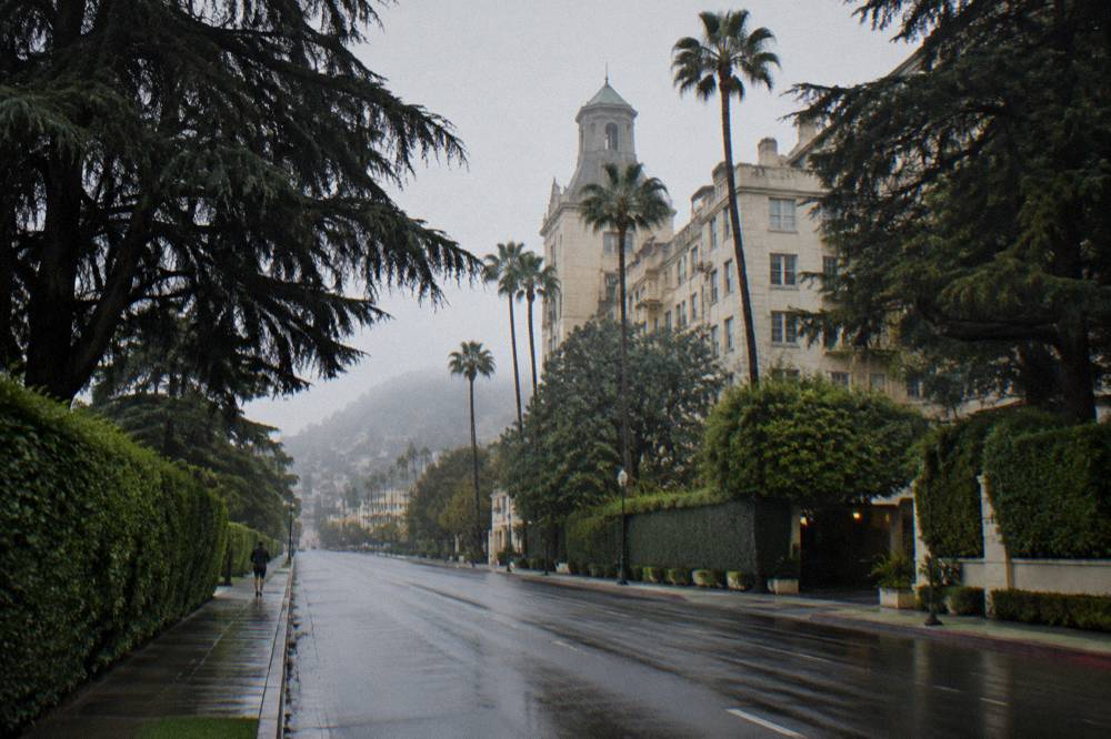 A wide residential boulevard in Beverly Hills lined with tall hedges and mature trees