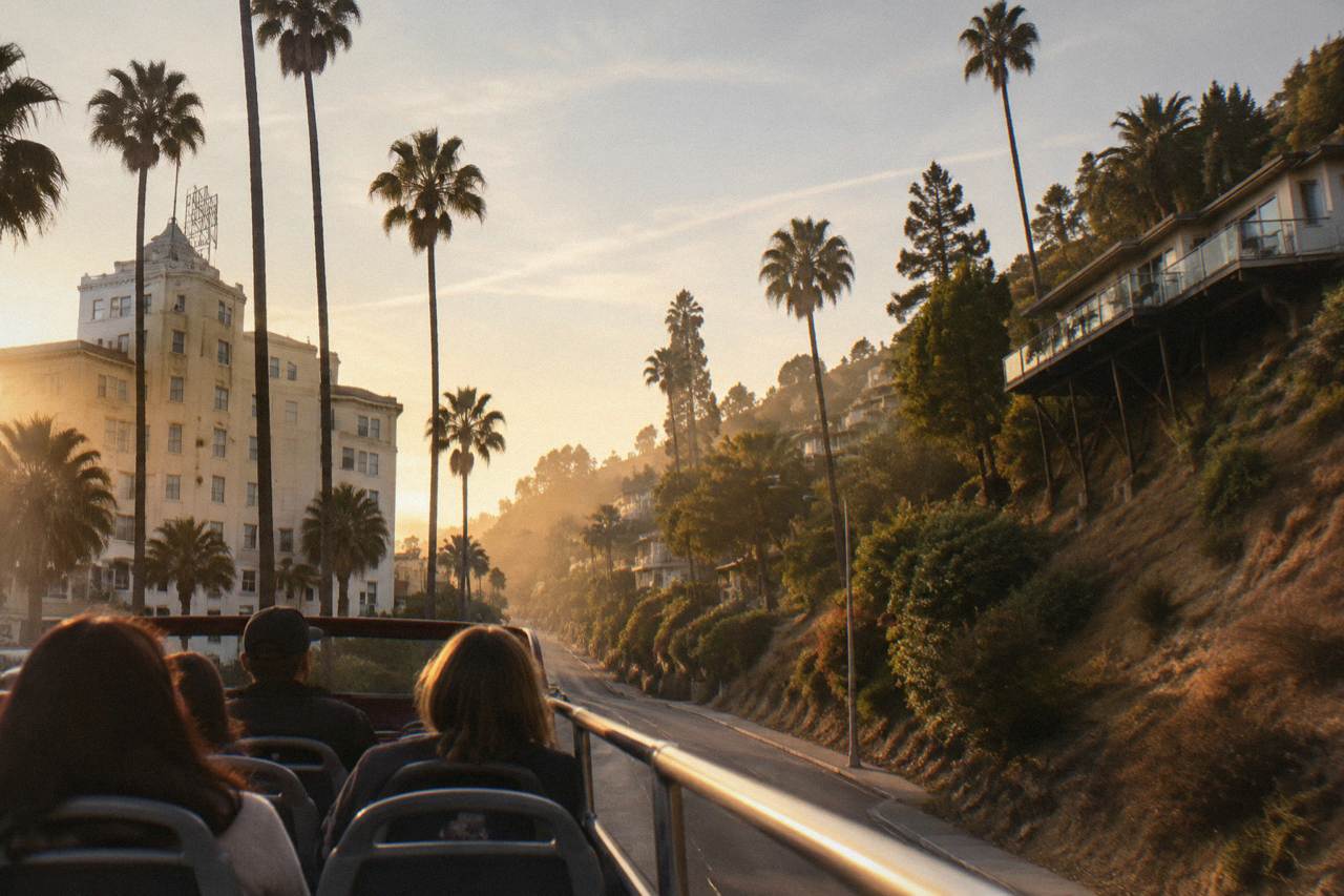An open-air tour bus on a palm-lined street in the Hollywood Hills at golden hour