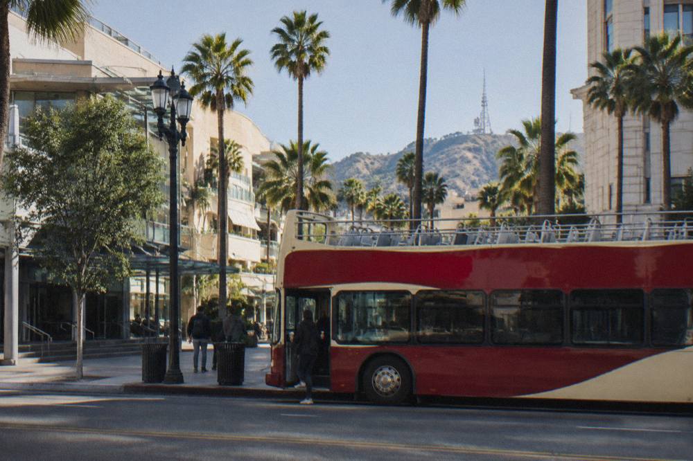 A double-decker open-top bus stopped at a curb beside palm trees on a Hollywood street