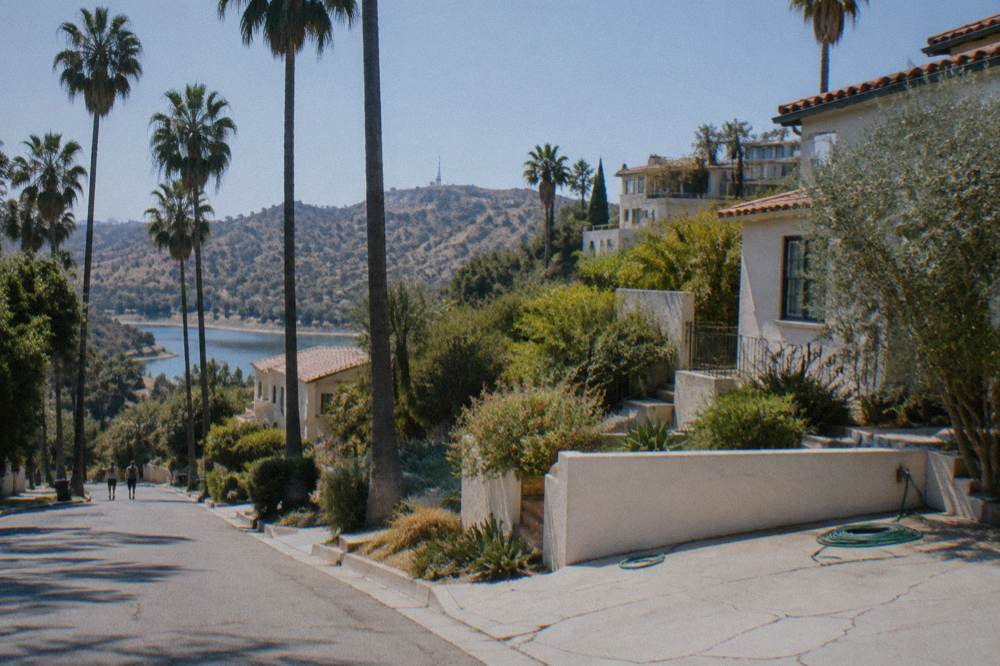 A palm-lined residential street in the Hollywood Hills on a clear afternoon