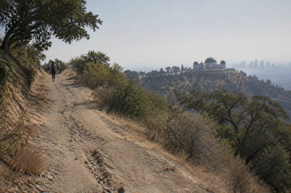 A wide dirt fire road climbing a sunlit Griffith Park ridge with the Hollywood Sign visible across the canyon