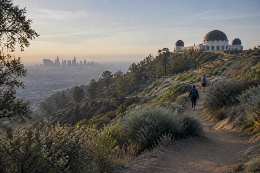 A dirt trail climbing a Griffith Park ridge toward the summit above the Hollywood Sign